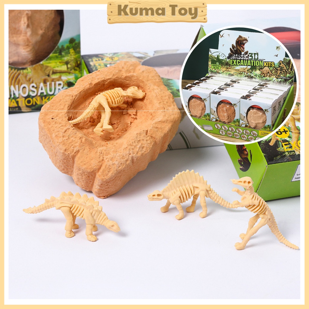 Đồ chơi khảo cổ đào hóa thạch khủng long nhỏ - Đồ chơi giáo dục