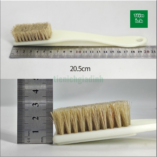 Bàn Chải Đánh Giày Lông Heo Cán Nhựa Dễ  Dàng Sử Dụng Vệ Sinh Giày Dép Ví Da