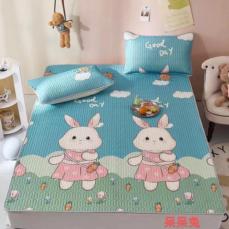 Chiếu điều hòa cao su non 3D làm mát dễ ngủ tặng kèm 2 vỏ gối mẫu mới giá rẻ hàng loại 1