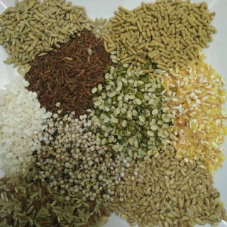 1kg Lúa mì cho chim kiểng, gà kiểng