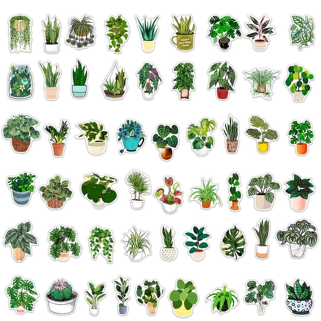 Sticker dán hình kiểng lá không thấm nước, sticker dán điện thoại hình kiểng lá monstera, philodendron, anthurium