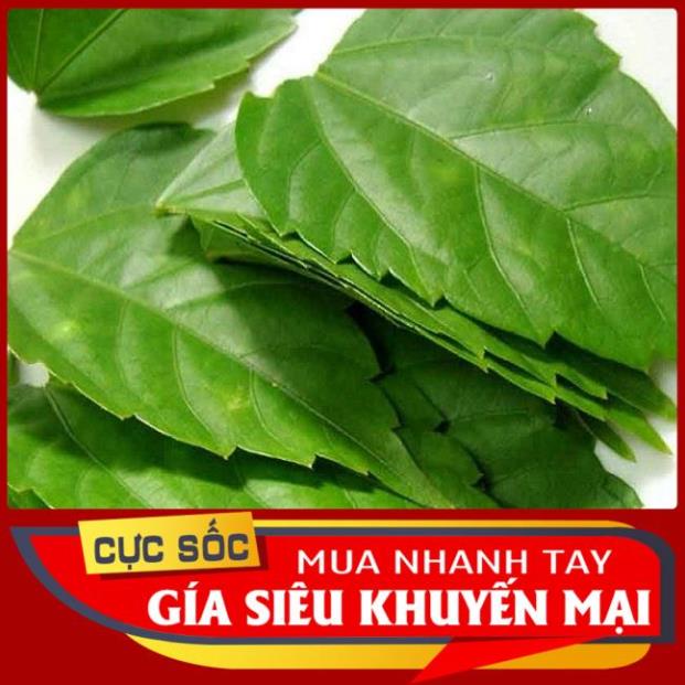 Lá Cách tươi 1kg [Thảo Dược Ngọc Ánh]