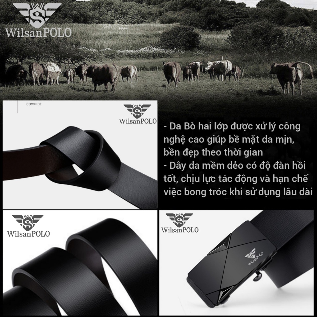 Thắt Lưng Nam Dây Lưng Da Bò cao cấp Wilsan POLO, Dây nịt nam bản nhỏ khóa tự động phong cách Hàn Quốc WS012