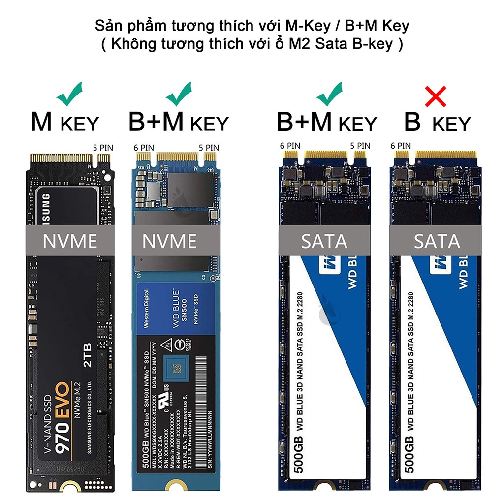 BOX Ổ CỨNG M.2 GIAO THỨC KÉP ( B+M KEY ) Dblue_Shop, Type-C , Dành Cho Ổ Cứng SSD M2 PCI NVME & SATA | BigBuy360 - bigbuy360.vn