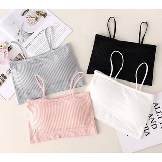 Sỉ áo bra cotton 2 dây gân tăm trẻ trung 809.