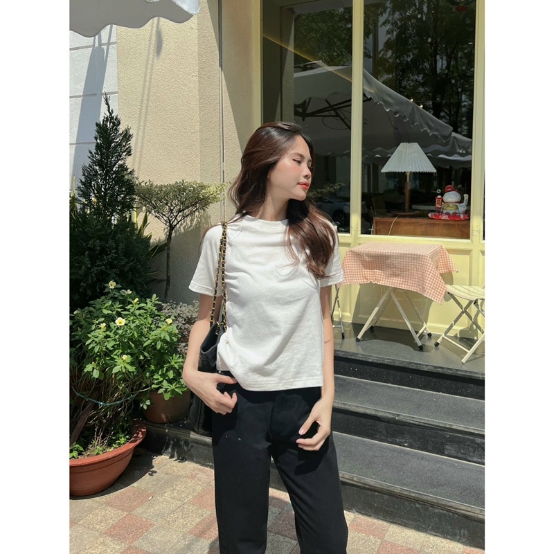 ÁO THUN TRƠN CC FN