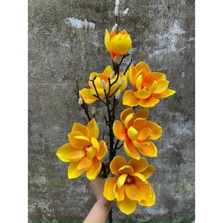 cành mộc lan 6b
