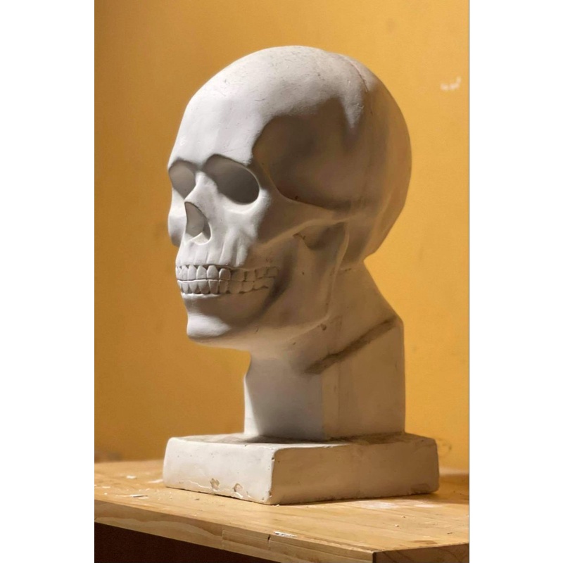 Tượng thạch cao Đầu Lâu 45cm - trang trí, tập kí họa,trang trí cafe ,Halloween, luyện thi V