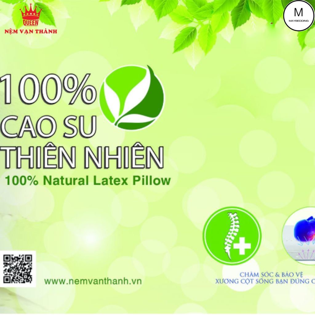 Gối Cao Su Oval 01 & 03 Vạn Thành - Hàng Chính Hãng