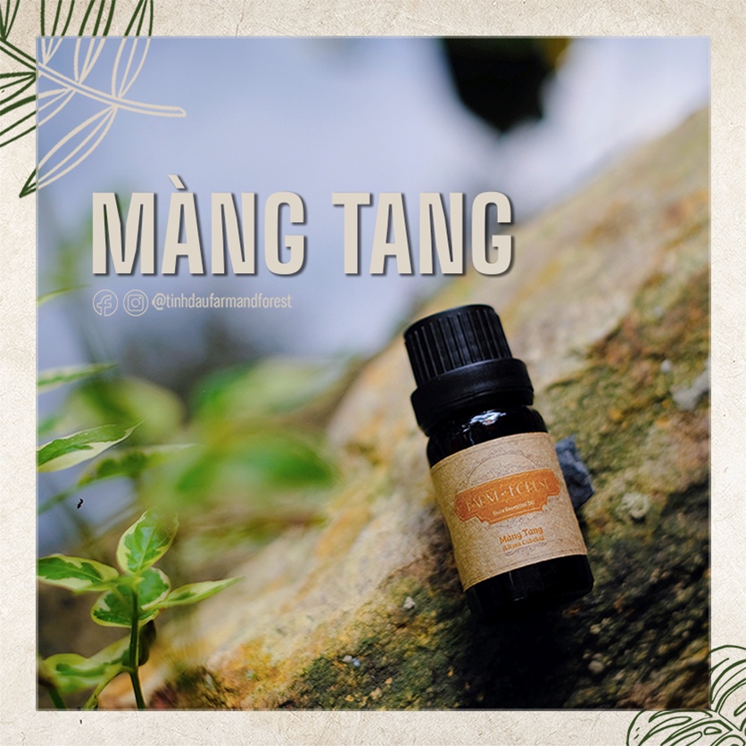 Tinh Dầu Màng Tang | Tinh Dầu Thiên Nhiên Nguyên Chất, Farm & Forest, Thư Giãn, Mát Xa Làm Ấm, Đuổi Côn Trùng