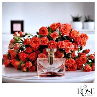 Nước hoa dịu dàng, thanh lịch b/v/l splendida rose & rose 5ml/10ml/20ml