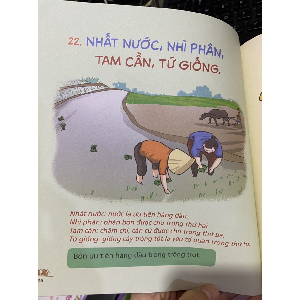 Sách - Tục ngữ Việt Nam bằng tranh