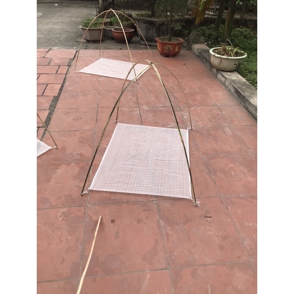 Combo vó kéo tép 10c