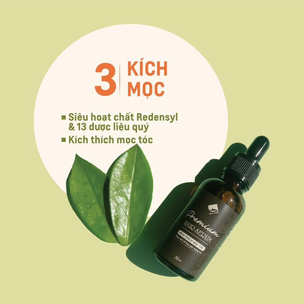 Dầu gội Dầu xả Thảo Dược True Organic Ecocare chăm sóc tóc chuyên sâu - Chuyên biệt cho tóc hư tổn và gãy rụng