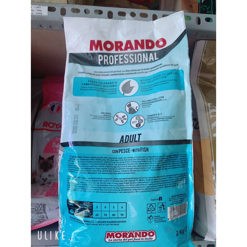 Thức ăn mèo Miglior gatto Adult Salmon Morando 2kg