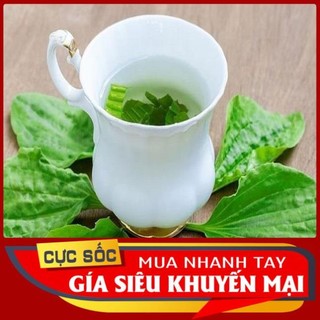 Bông mã đề tươi.mát gan giải nhiệt
