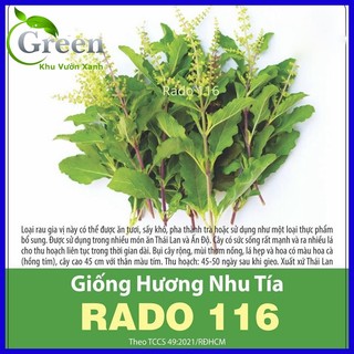 Hạt Giống Hương Nhu Tía Thái Lan