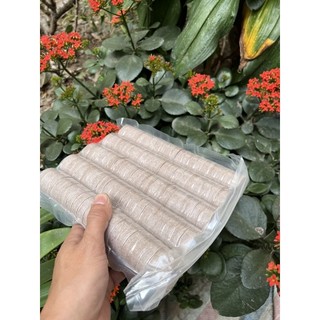 Vỉ 100 viên nén ươm hạt cao cấp Nova