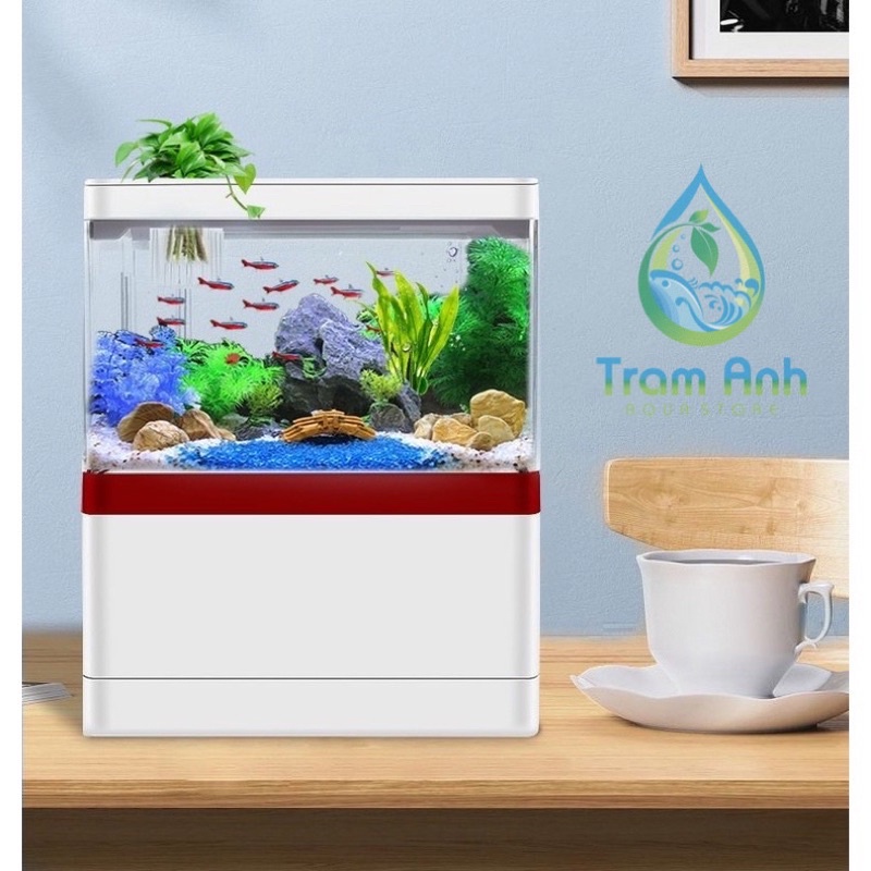 Bể cá mini để bàn đa năng nguyên bộ