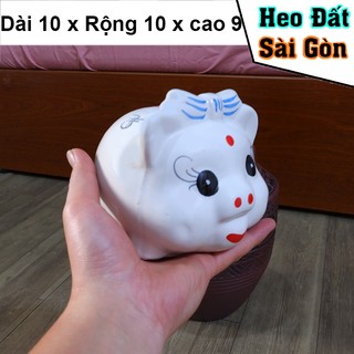 Heo Đất,Lợn sứ, heo mini nơ