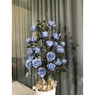 CÂY HỒNG PHÁP ( CÓ SỈ ) HOA GIẢ , HOA LỤA