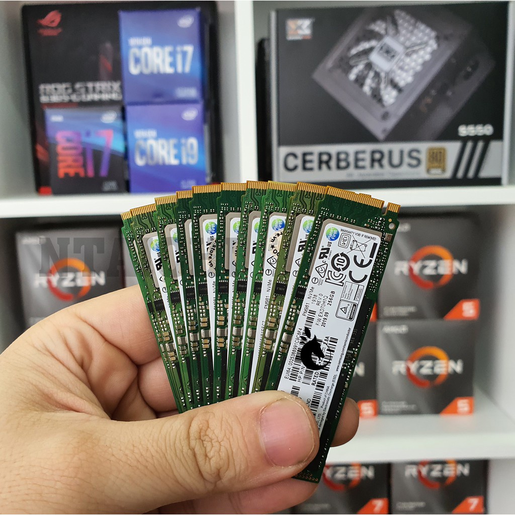 Ổ cứng SSD Samsung NVMe PM981 | PM981a M.2 Pcie Gen3X4 2280 256GB | 512GB | 1TB Dblue_Shop