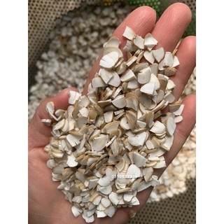 Hơn 3k/ngày - Hạt sành trắng, dạ dày khoẻ