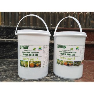 Phân bón, dinh dưỡng thuỷ canh cho cây ăn trái nova melon 20