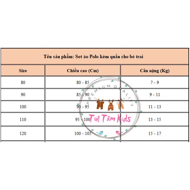 - Sét Đồ Bé Trai 2 Món - Bộ Quần Áo POLO Bé Trai - Hàng Quảng Châu CC