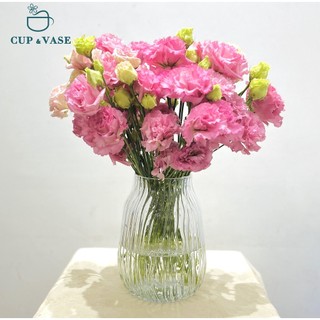 Bình Hoa Thủy Tinh CUP & VASE Dáng Thấp Tròn Cách Điệu