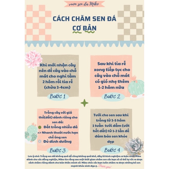 SEN MÔNG/THẠCH LAN size cây 0.5-1cm CẢ BỤI NHƯ ẢNH SIÊU RẺ LỖI 1 ĐỀN 1
