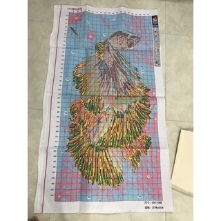 TRANH THÊU KÍN CÁ E92 (60X110) chưa thêu