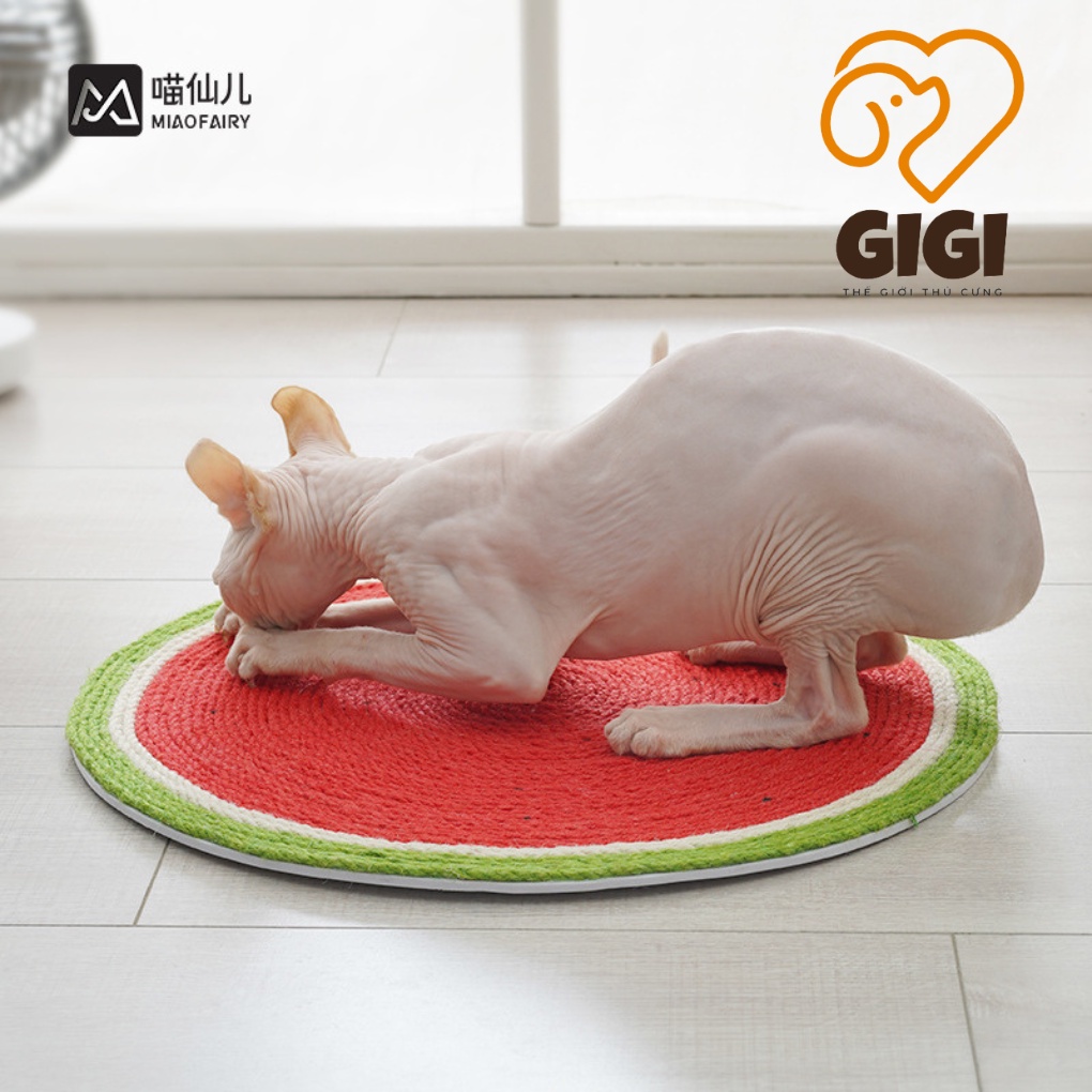 Bàn cào móng mèo hình tròn làm bằng chất liệu dây thừng phụ kiện cho thú cưng sạch móng giải trí - GiGi Pet Shop