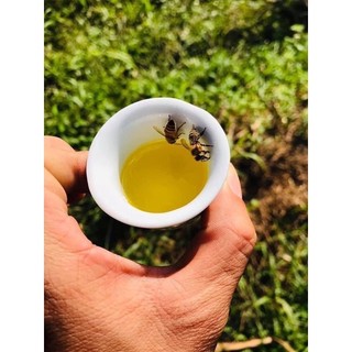 Mật ong Bạc Hà hàng chuẩn bao test