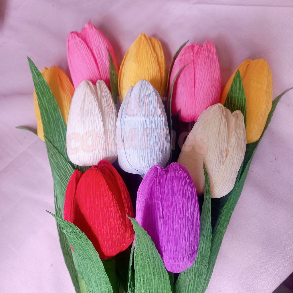 Hoa Tulip Giấy Nhún Ý cao cấp Handmade decor nhiều màu sắc trang trí xinh xắn hule