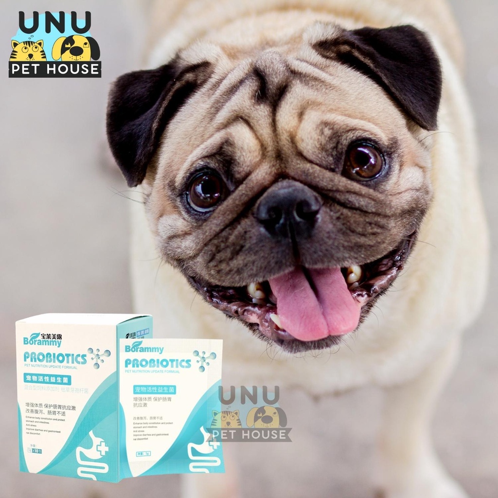 Men tiêu hóa cho chó mèo bổ sung lợi khuẩn, hỗ trợ tiêu hóa gói 5g - UNU Pet House
