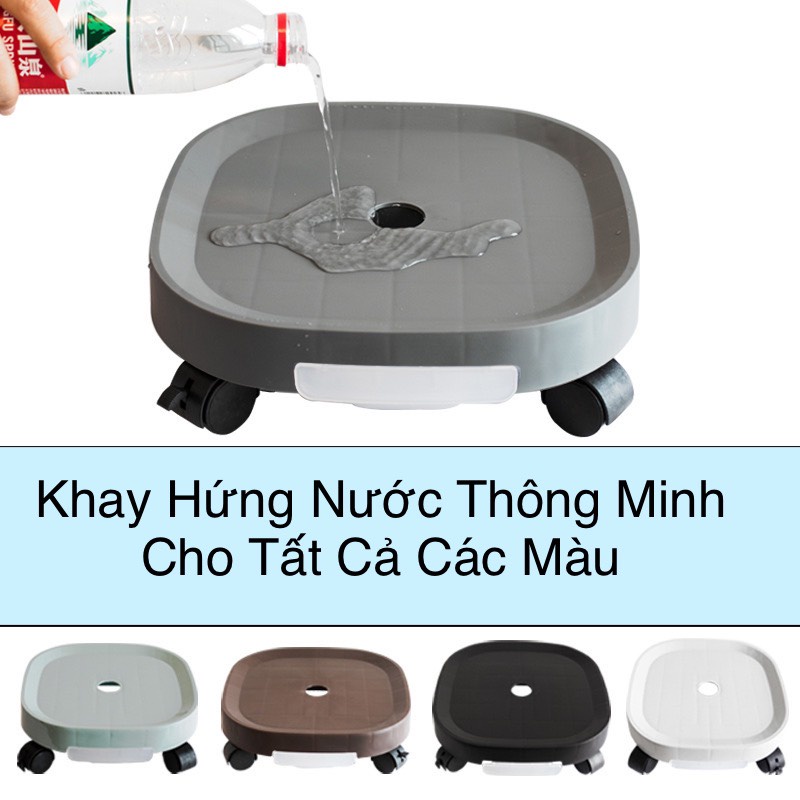 Mua Đế Kê Chậu Cây-Đế Lót Chậu Hoa ,Cây Cảnh Có Bánh Xe Di Chuyển Đa Năng  giá rẻ nhất | TecKi.Vn