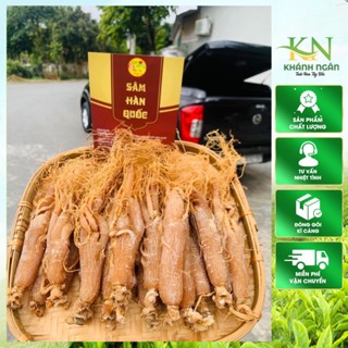 Hồng sâm sấy dẻo hàng đẹp củ to đều , thơm đậm vị sâm( Nhân sâm củ, sâm râu bồi bổ sức khỏe )100gr