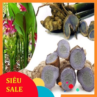 Củ Ngải Đen tươi 1kg
