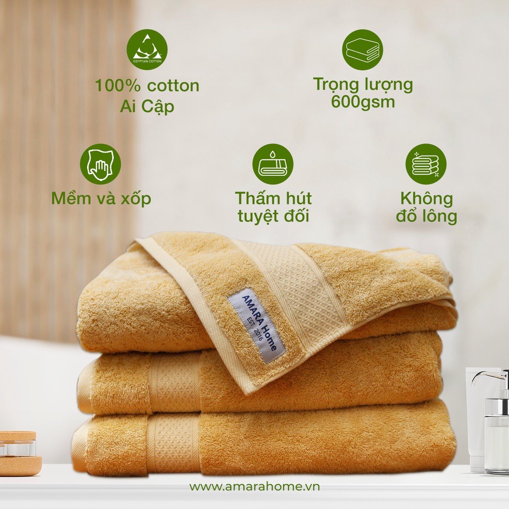 Set Khăn cotton Ai Cập