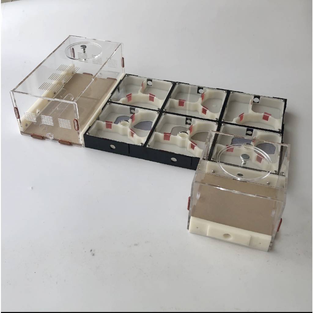 Hộp Nuôi Kiến, Nhà Cho Kiến, Tank Kiến Mica 3D SN05
