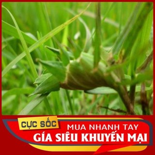 Cỏ gà tươi 1kg