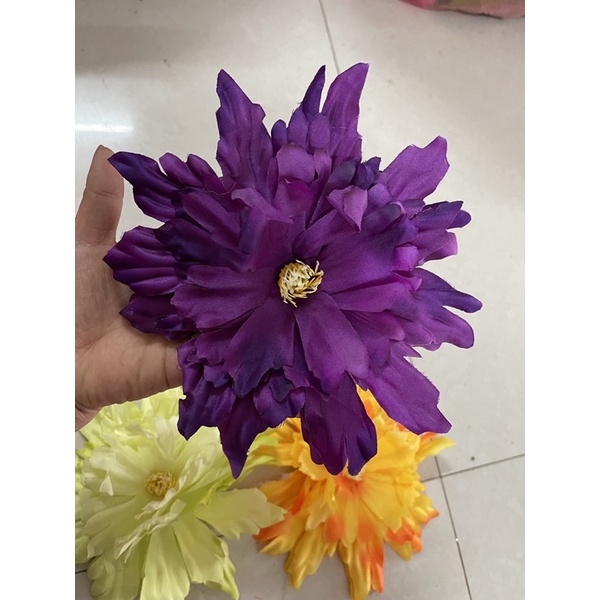 Mẫu đơn phi rời thanh lý