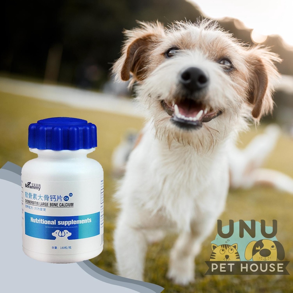 Canxi cho chó BORAMMY bổ sung canxi cho chó bầu, chó con, canxi cho mèo, lọ 180 viên - UNU Pet House