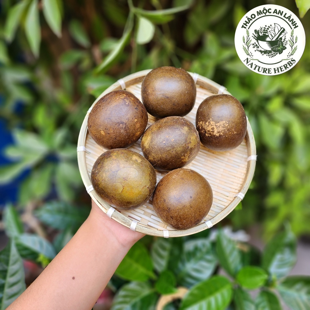 Combo 10 Trái La Hán Quả Hoàng Kim Size Lớn Siêu To, Thơm