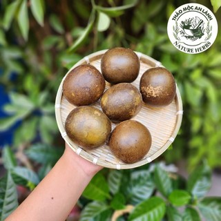 Combo 10 trái la hán quả hoàng kim size lớn siêu to, thơm
