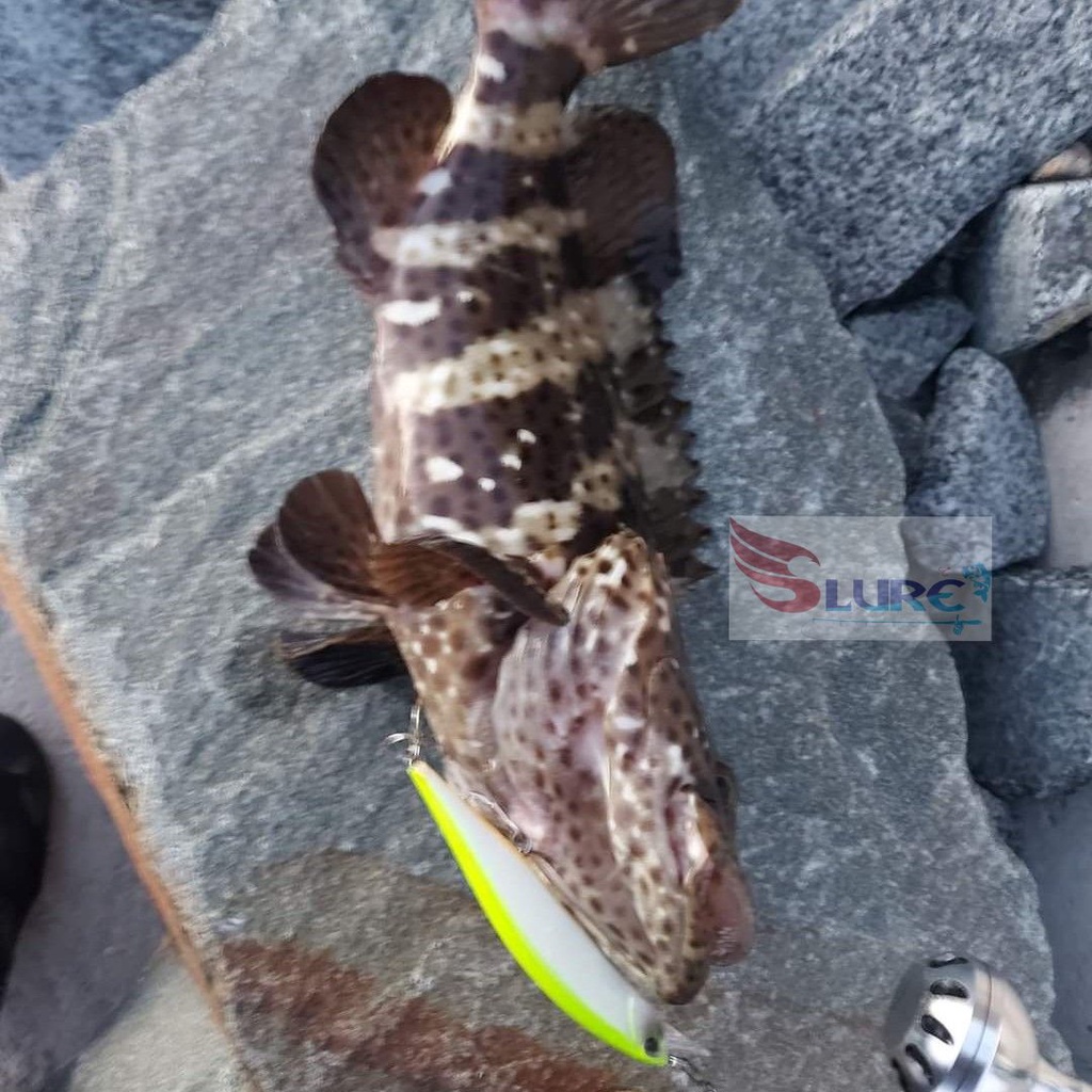 Mồi giả câu cá, lure DW51 13.5cm/17.5g