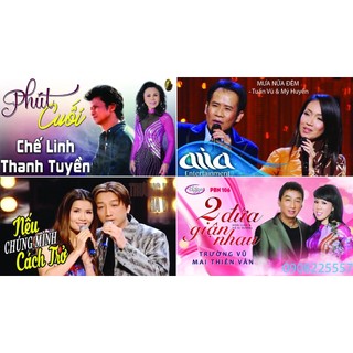 [DVD-VIDEO-PBN-1] THUÝ NGA PBN 40 BÀI HÁT (có Hình Video)