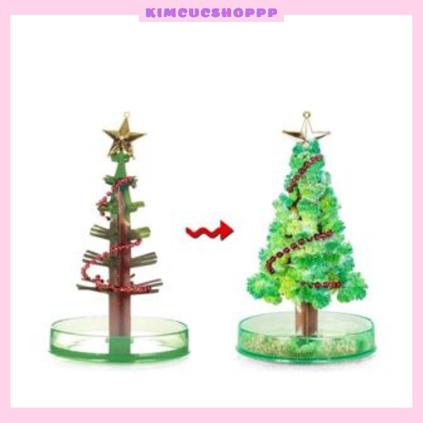 Cây Thông Thần Kỳ Tự Nở Hoa Tuyết 🌸FREESHIP🌸Cây Thông Noel Mini để bàn phủ tuyết, quà giáng sinh cho bé