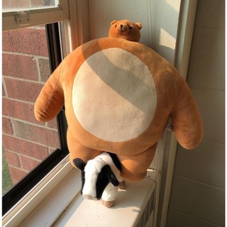 (NHIỀU SIZE - CÓ ẢNH THẬT) Gấu bông Tiny Head đầu nhỏ người to độc lạ